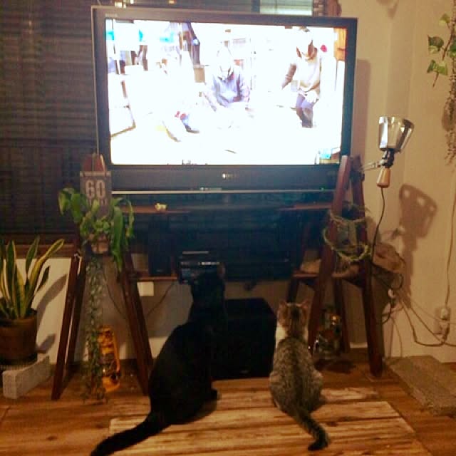 sumisumiさんの実例写真