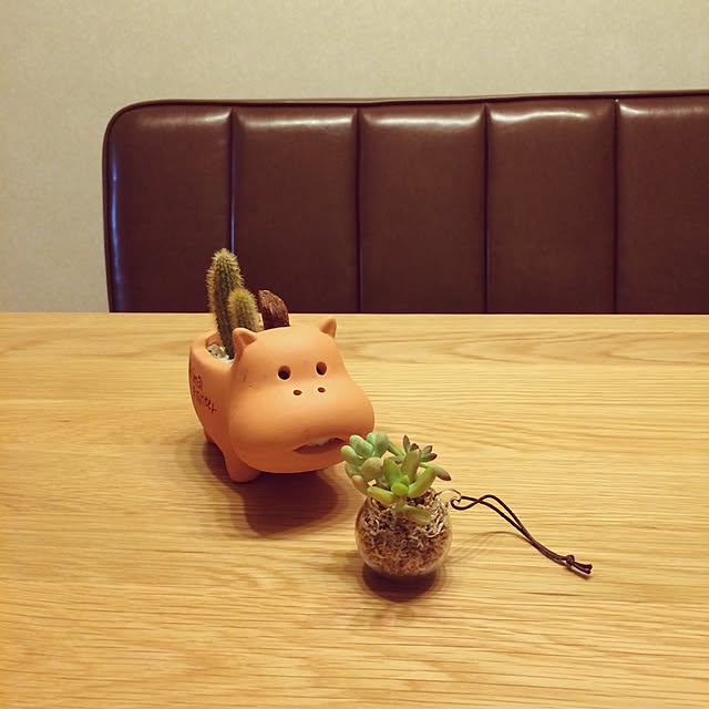 nomuさんの実例写真