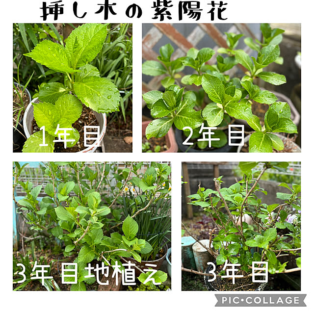 CoCo0617さんの部屋