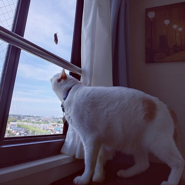 NOAHさんの部屋