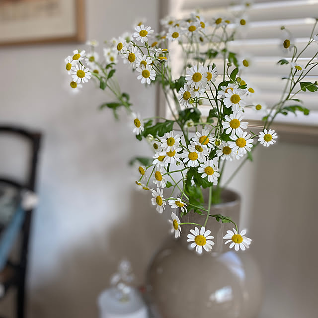 aromamaさんの部屋