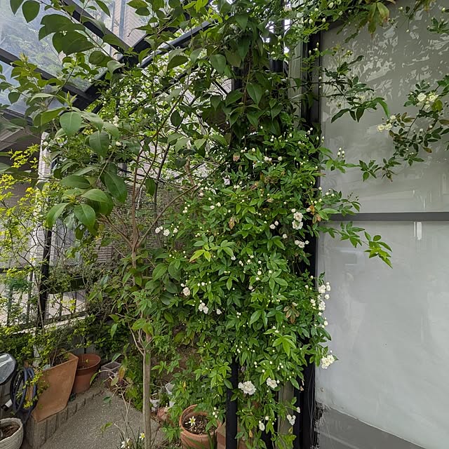 mori_6_12さんの部屋