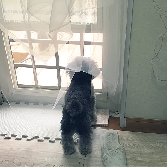 chocomamaさんの実例写真