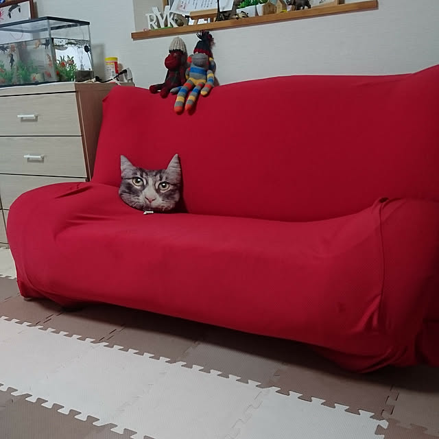 arinkoさんの実例写真