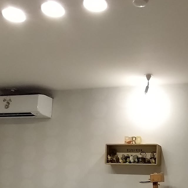 toratanさんの実例写真