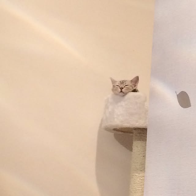 tyapitam.さんの実例写真