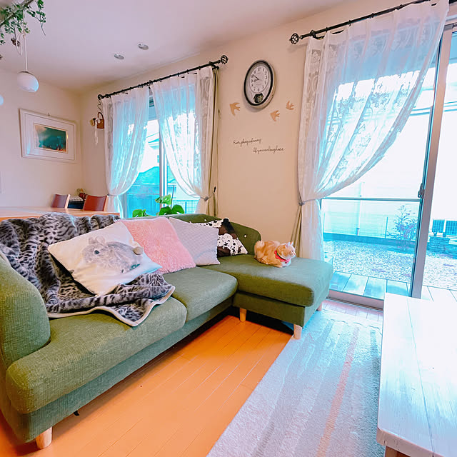 moolさんの部屋