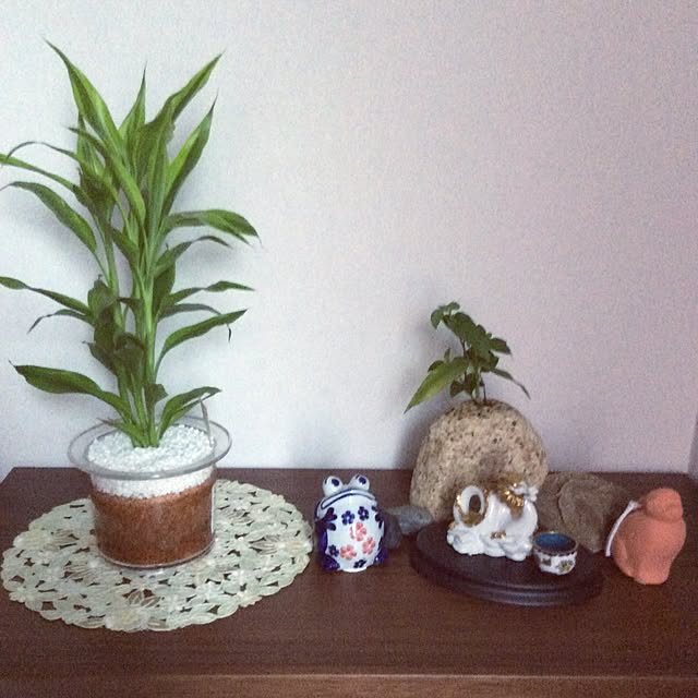 karikoさんの実例写真