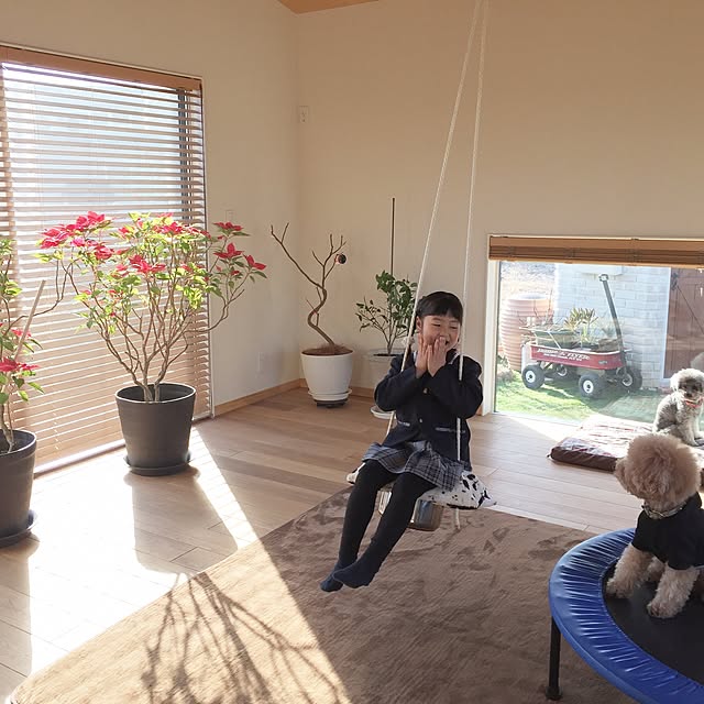 amiagramさんの実例写真