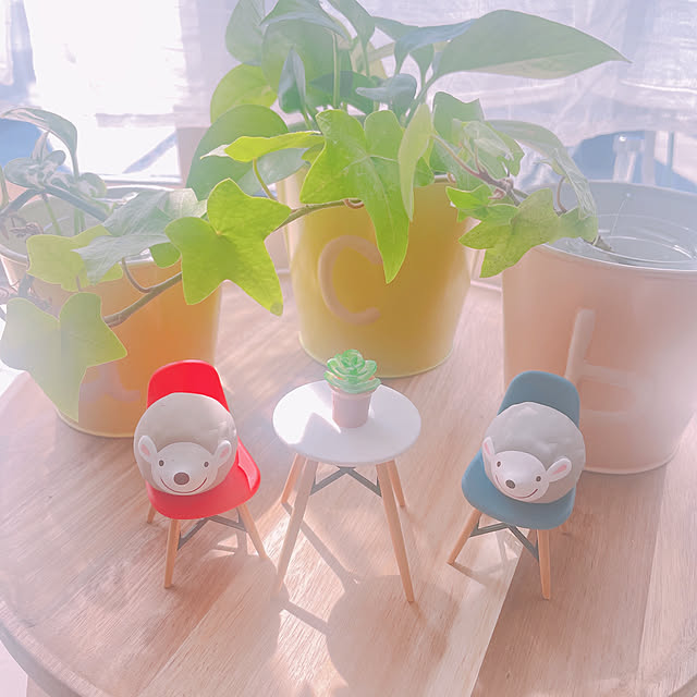 akiko-ovさんの部屋