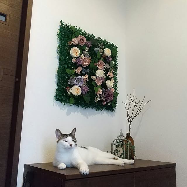 Mikaさんの部屋