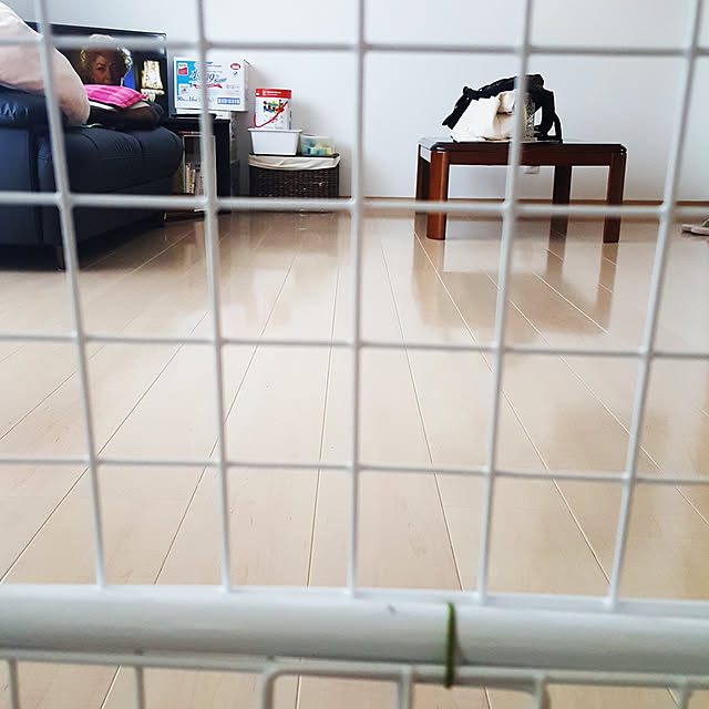 Miharuさんの実例写真
