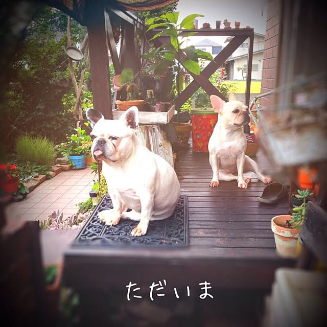 38coreさんの実例写真