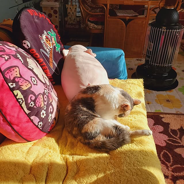 kumutanさんの部屋