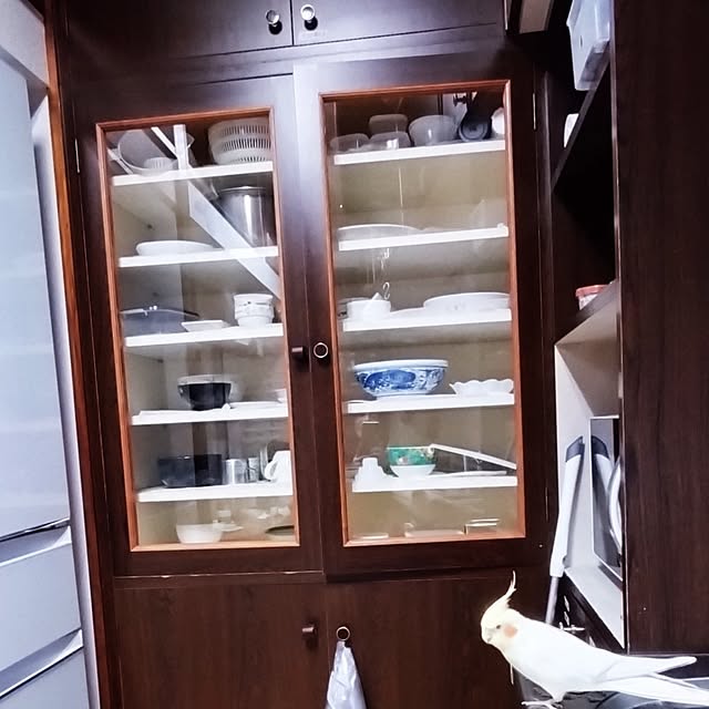 toratanさんの部屋