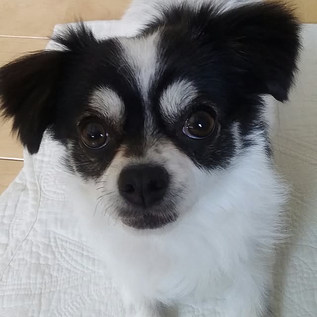 yukkoさんの実例写真