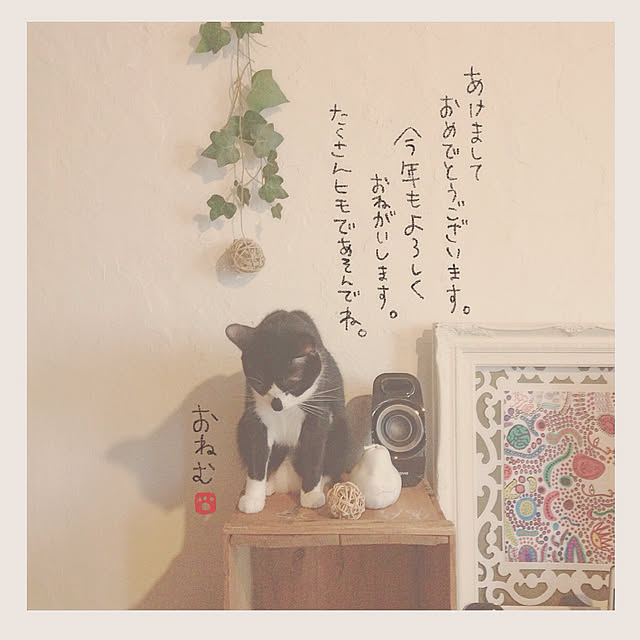 mi88888さんの実例写真