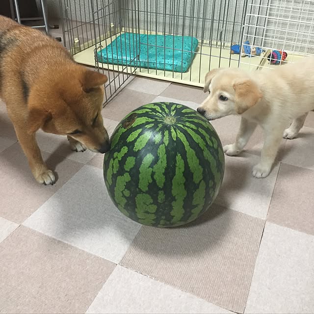mtkさんの実例写真