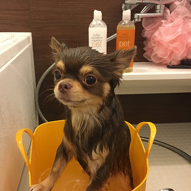 Musashiさんの実例写真