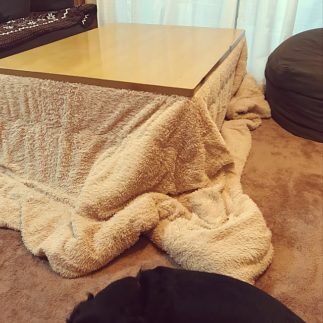 amihimeさんの実例写真