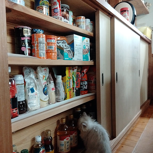 makaronさんの実例写真