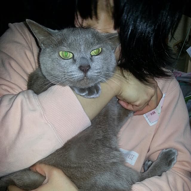 Yukikoさんの実例写真