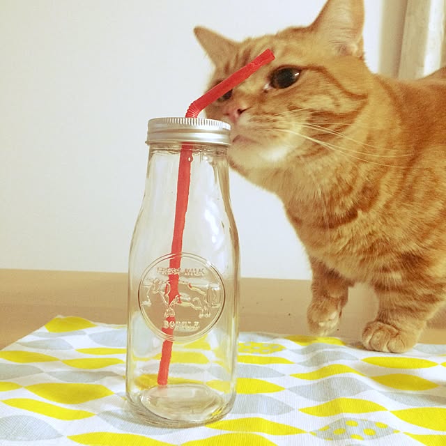 mimoさんの実例写真