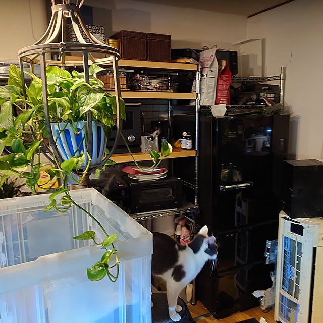 Koutaさんの部屋