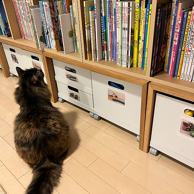 mikomaruさんの部屋