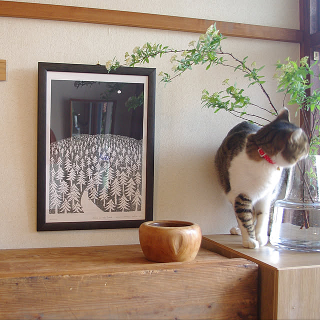 kanade_olhさんの実例写真