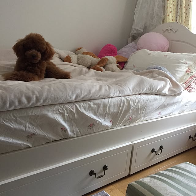 Naomiさんの実例写真