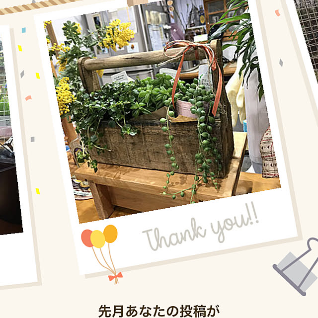 daikichiさんの実例写真