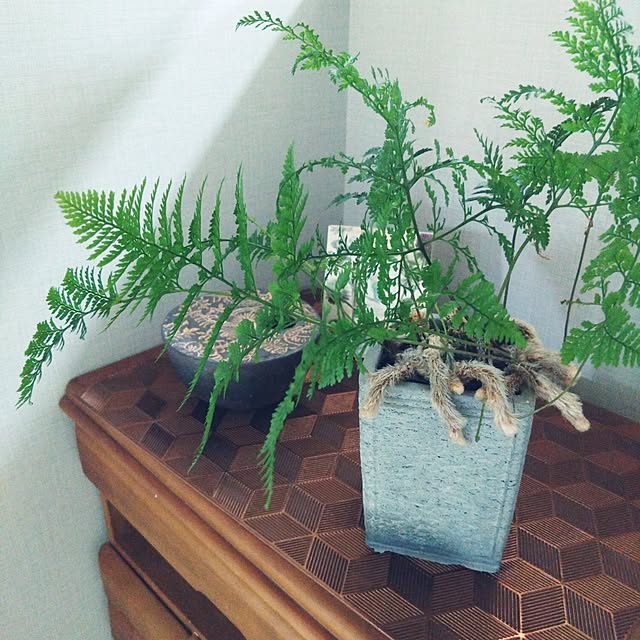 MIPORINNさんの実例写真