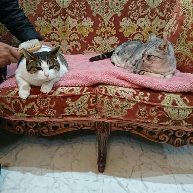 machikomamaさんの実例写真