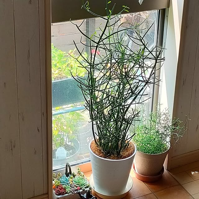 teamoさんの部屋