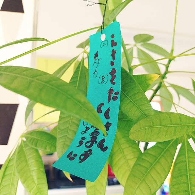 urchinさんの部屋