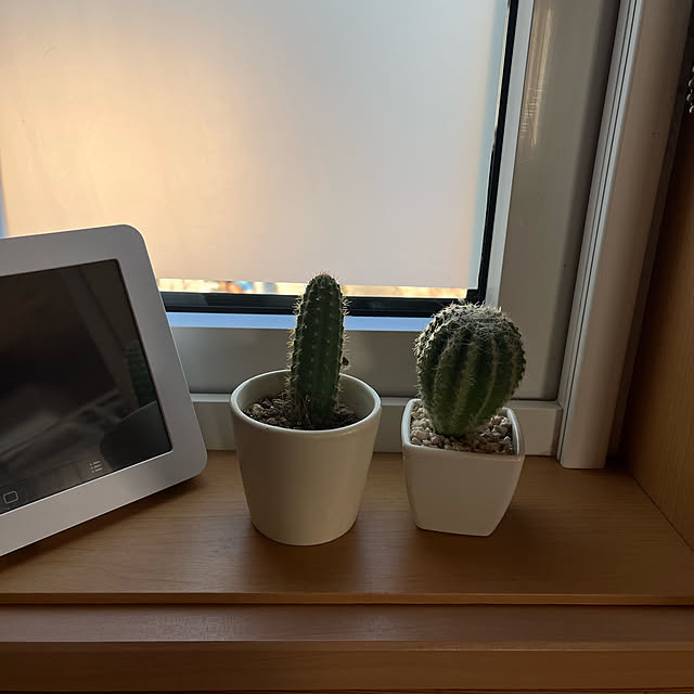 mogumoguさんの実例写真