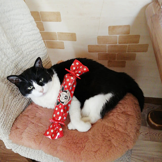 Tomopさんの実例写真