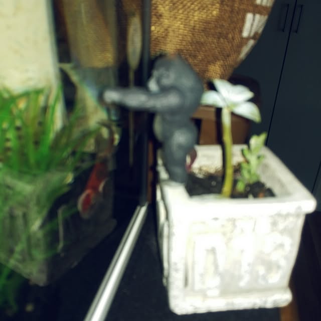 ikt.tamaさんの実例写真
