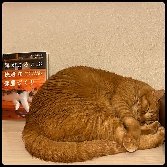 Hisashiさんの実例写真