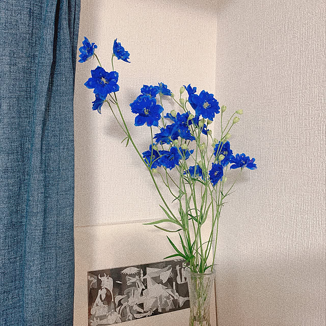 chinpanさんの実例写真