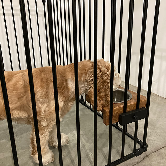 chairgreenさんの部屋