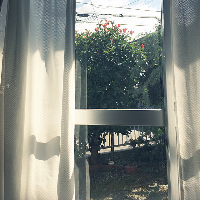 chiisoftさんの実例写真