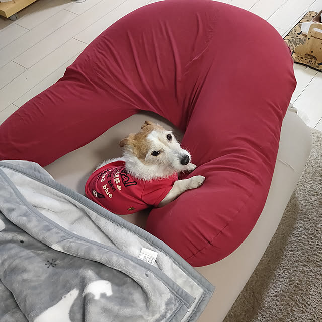 marosukeさんの実例写真