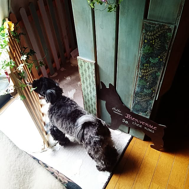 asaさんの実例写真