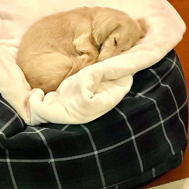 Yutsukiさんの実例写真