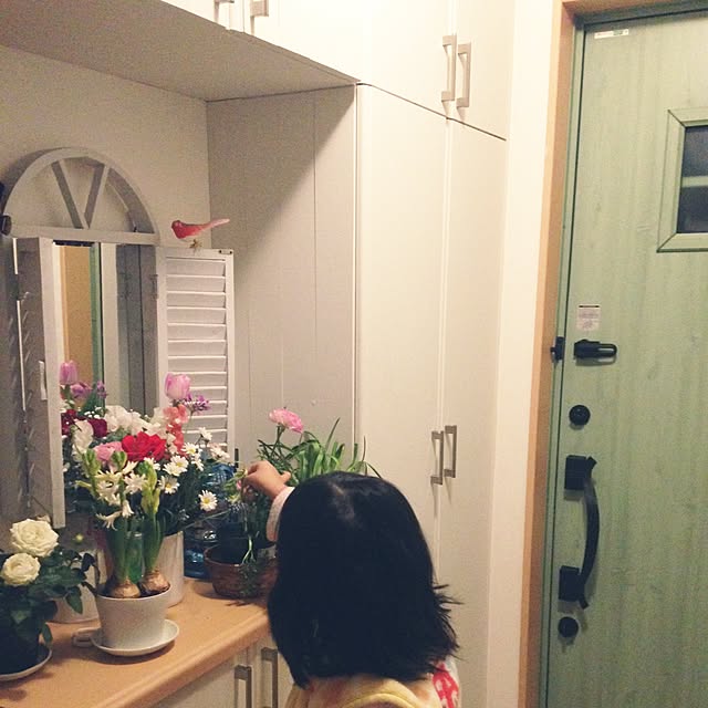 TaNeさんの実例写真