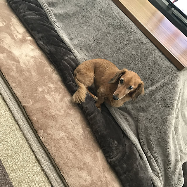 MIUさんの実例写真