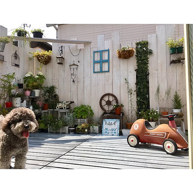 makoriさんの実例写真