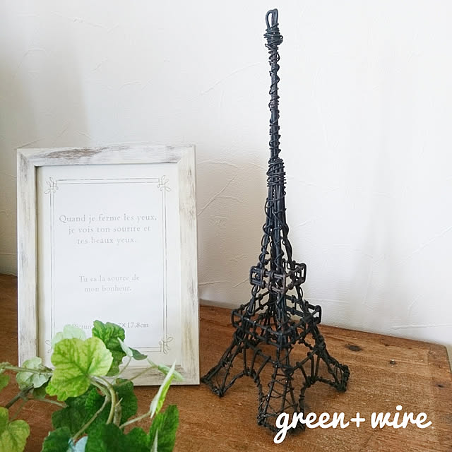 greenwireさんの実例写真